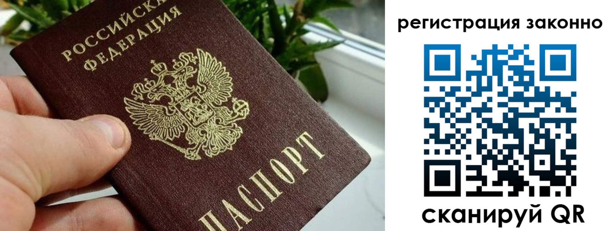 прописка гарантия в Сольцах